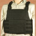 Plate Carrier